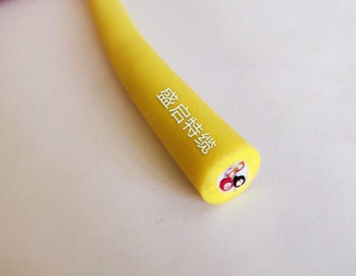 漂浮电缆    2*0.75+2*2*0.2P