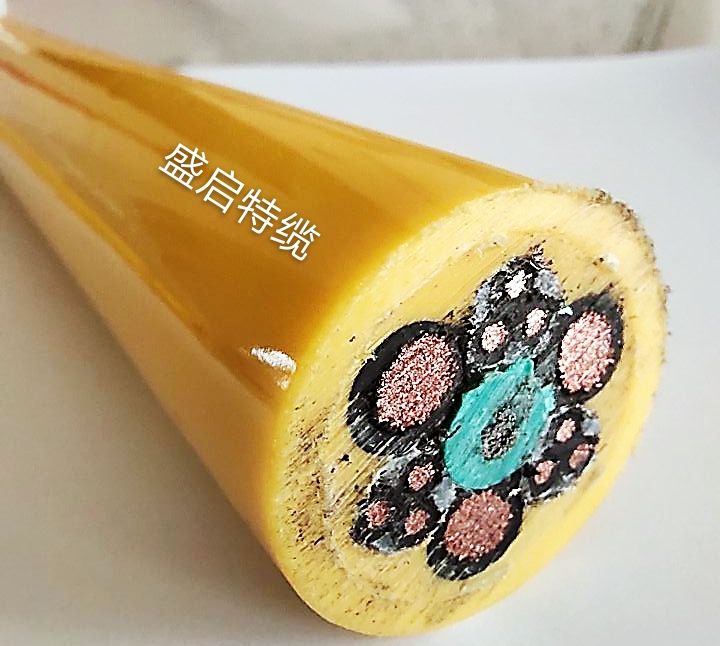 垃圾吊电缆SSQH      3*16+9*1.5