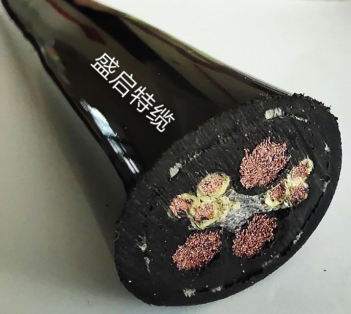 垃圾吊电缆SSQH     3*16+6*2.5